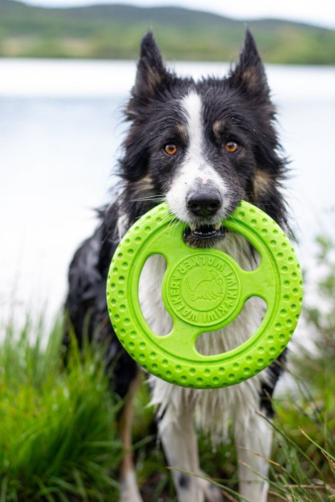 12658772026